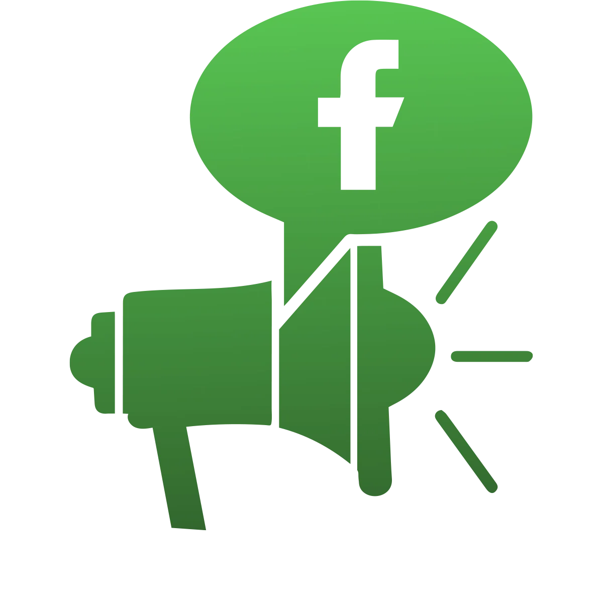 Facebook Ads Management